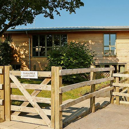 Oak Apple Villa Newton Abbot Dış mekan fotoğraf